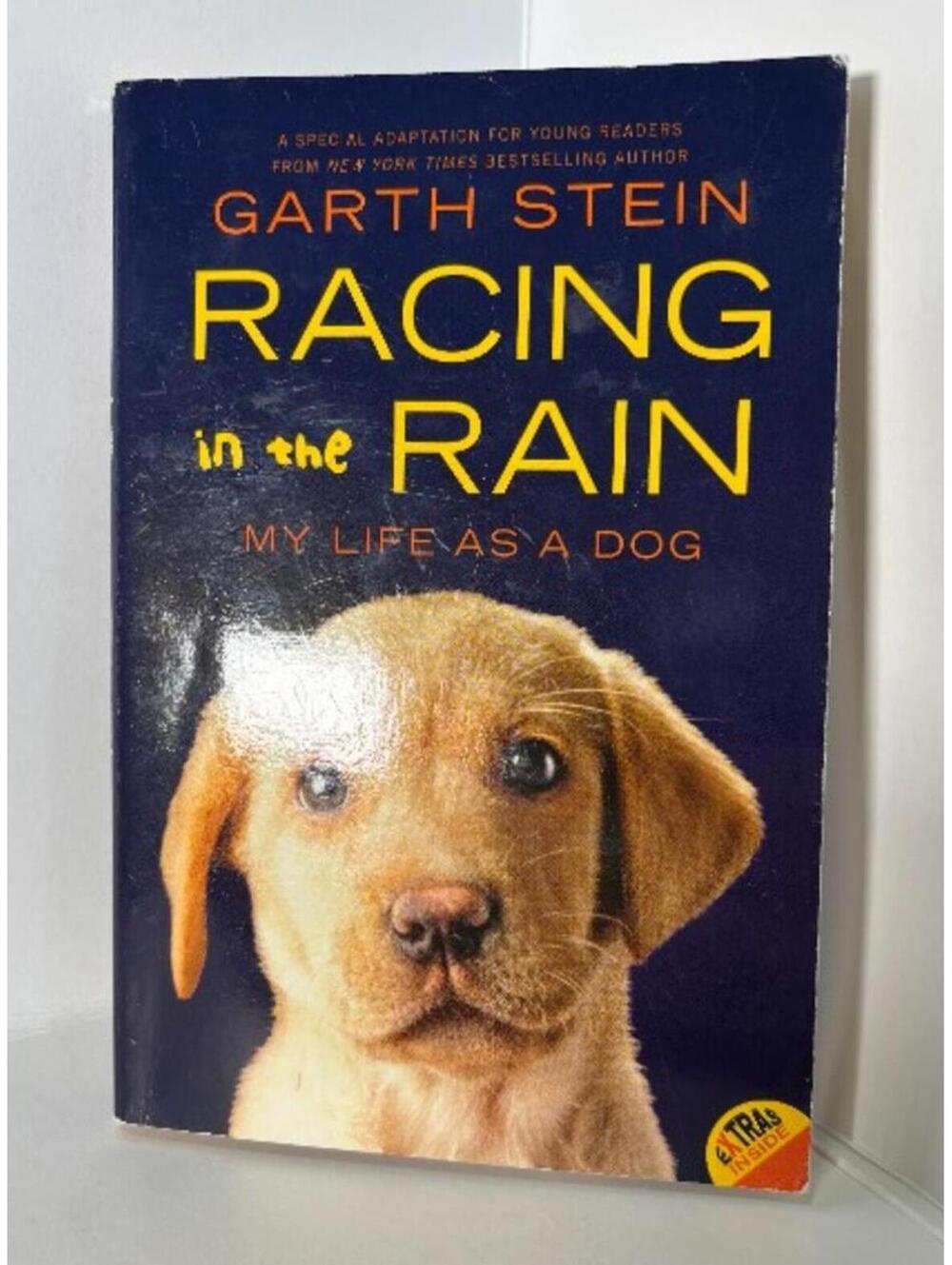 Racing in the Rain My Life as a Dog Garth Stein Paperback Young Readers Adapted